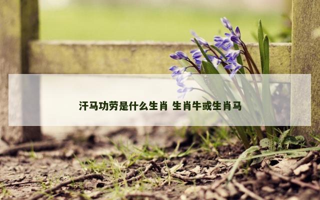 汗马功劳是什么生肖 生肖牛或生肖马