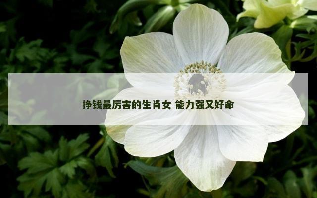 挣钱最厉害的生肖女 能力强又好命