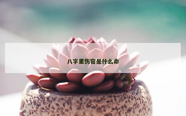 八字里伤官是什么命