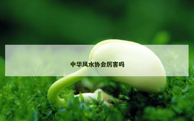 中华风水协会厉害吗