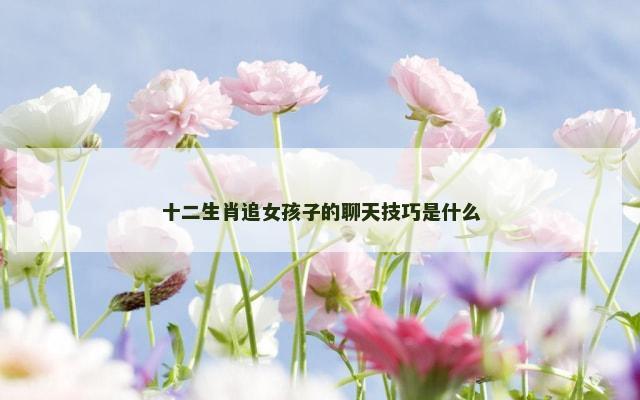 十二生肖追女孩子的聊天技巧是什么