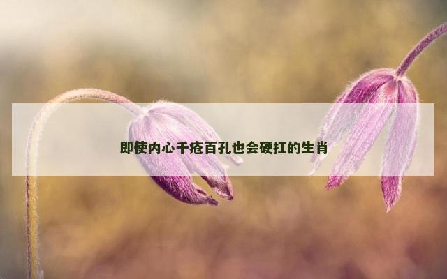 即使内心千疮百孔也会硬扛的生肖
