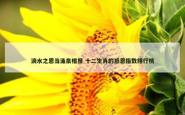 滴水之恩当涌泉相报 十二生肖的感恩指数排行榜