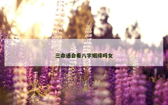 三命通会看八字姻缘吗女