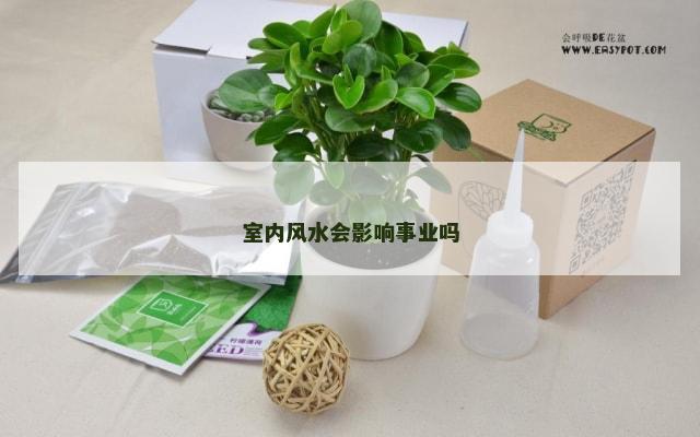 室内风水会影响事业吗