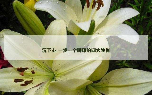 沉下心 一步一个脚印的四大生肖