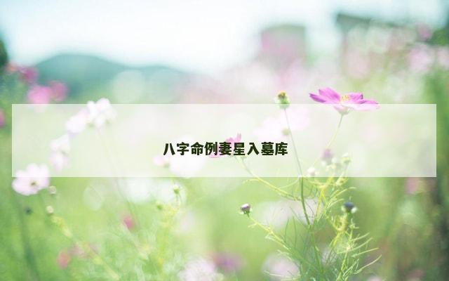 八字命例妻星入墓库