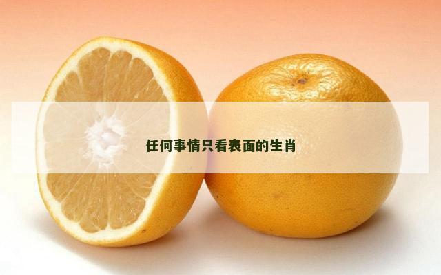 任何事情只看表面的生肖