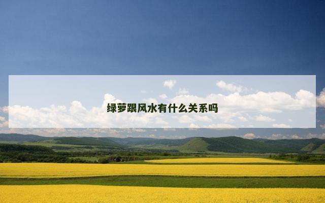 绿萝跟风水有什么关系吗