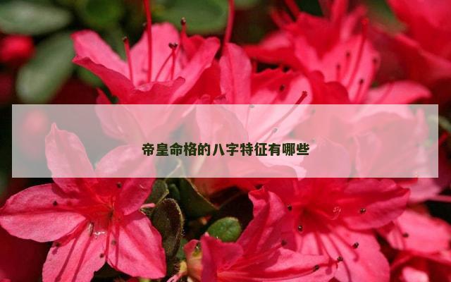 帝皇命格的八字特征有哪些