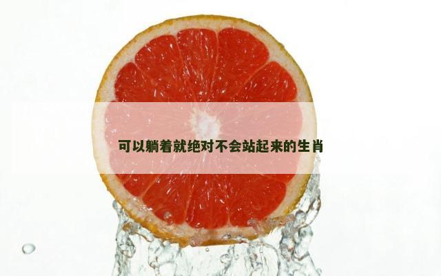 可以躺着就绝对不会站起来的生肖