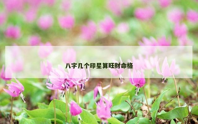八字几个印星算旺财命格