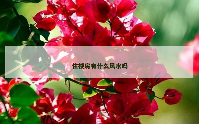 住楼房有什么风水吗