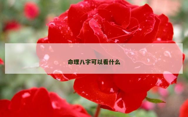 命理八字可以看什么