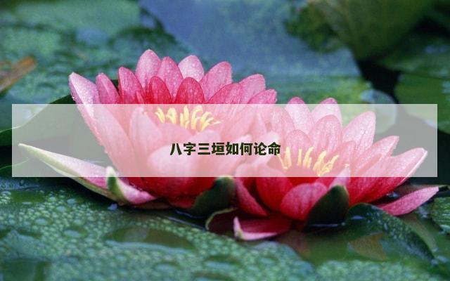 八字三垣如何论命