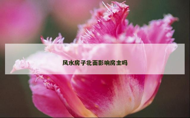 风水房子北面影响房主吗