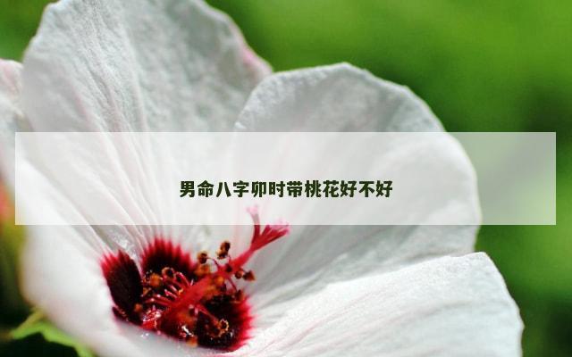 男命八字卯时带桃花好不好