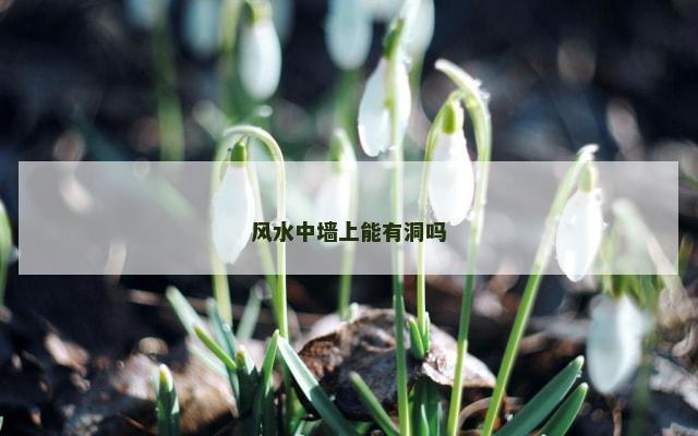 风水中墙上能有洞吗