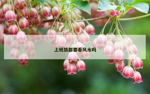 上班族都要看风水吗