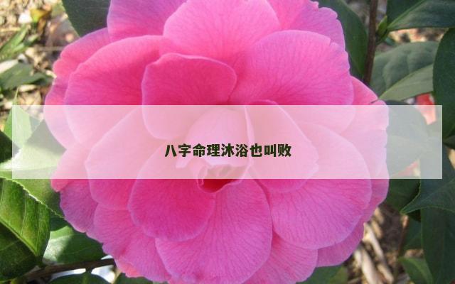 八字命理沐浴也叫败