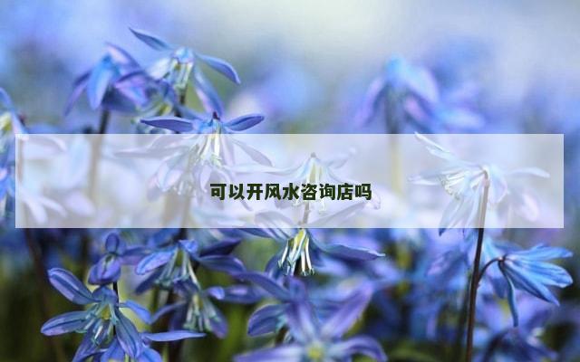 可以开风水咨询店吗