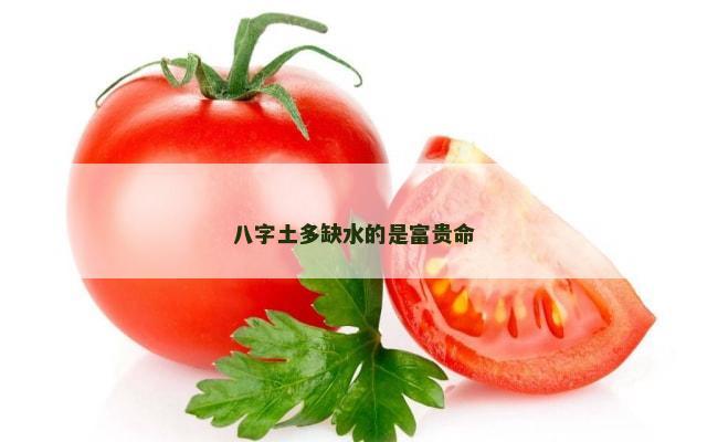 八字土多缺水的是富贵命