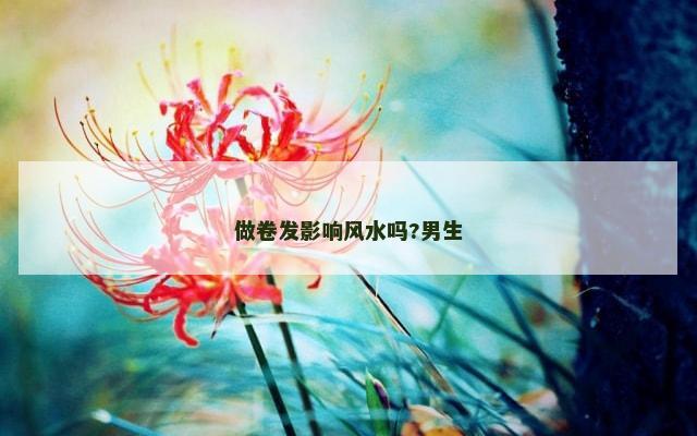 做卷发影响风水吗?男生