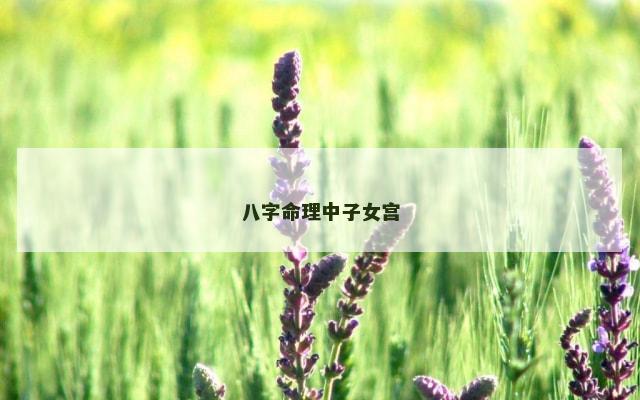 八字命理中子女宫
