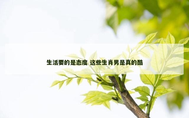 生活要的是态度 这些生肖男是真的酷