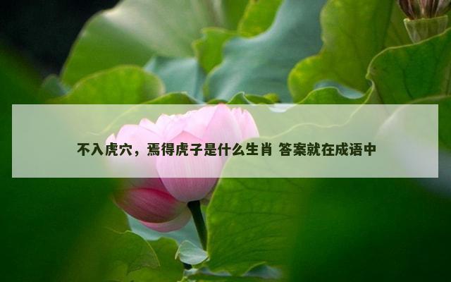 不入虎穴，焉得虎子是什么生肖 答案就在成语中