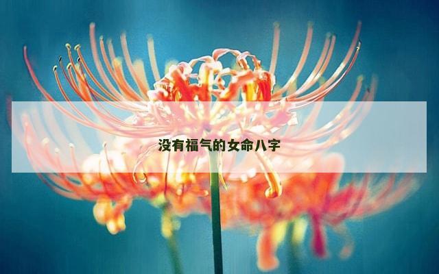 没有福气的女命八字