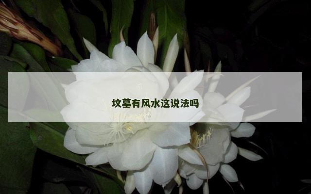 坟墓有风水这说法吗