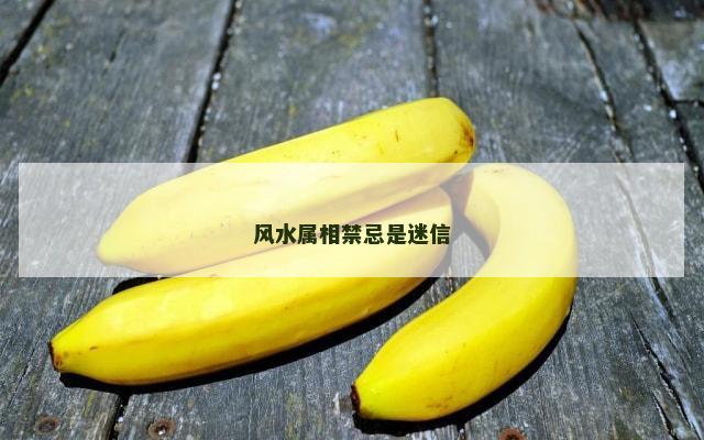 风水属相禁忌是迷信