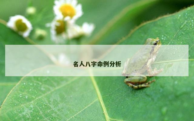 名人八字命例分析