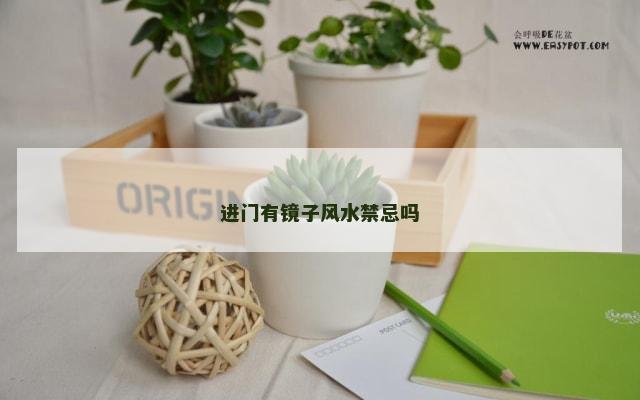 进门有镜子风水禁忌吗