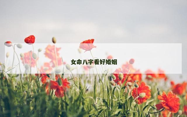 女命八字看好婚姻