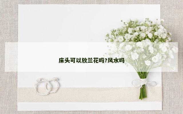 床头可以放兰花吗?风水吗
