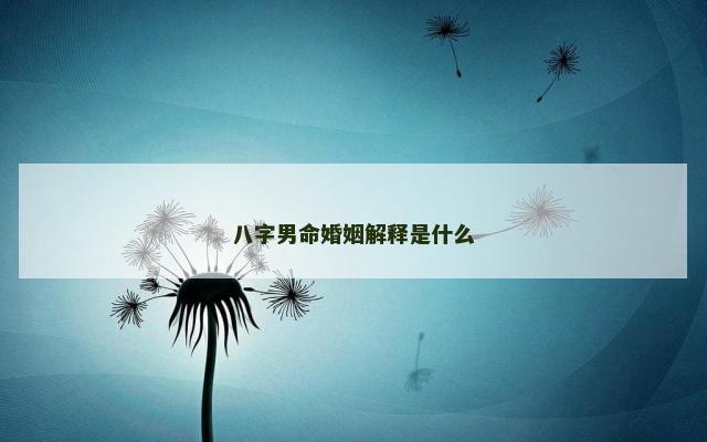 八字男命婚姻解释是什么