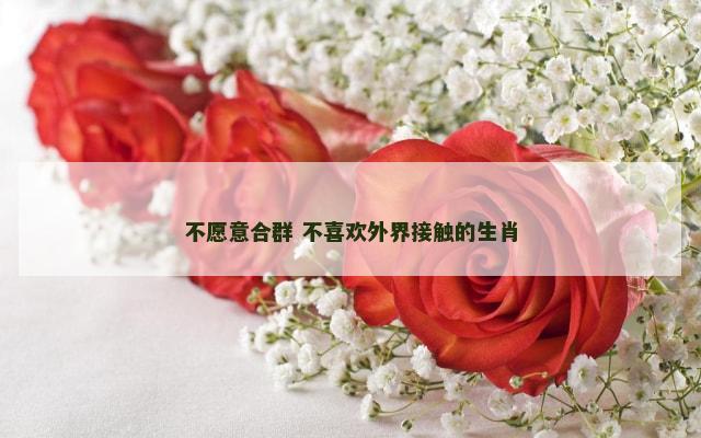 不愿意合群 不喜欢外界接触的生肖
