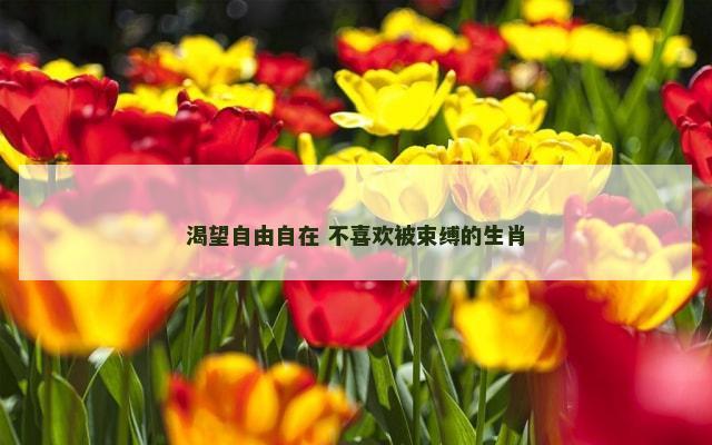 渴望自由自在 不喜欢被束缚的生肖