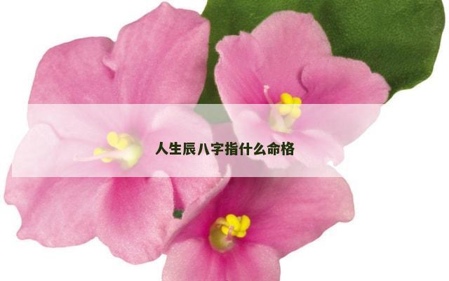 人生辰八字指什么命格