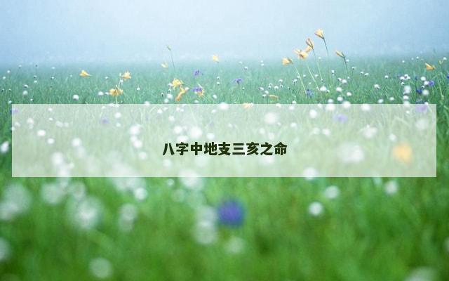 八字中地支三亥之命