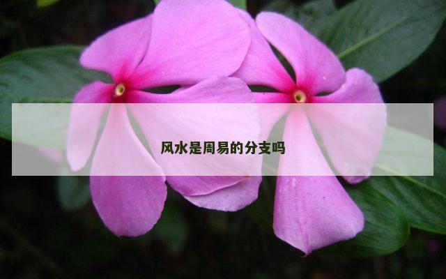 风水是周易的分支吗