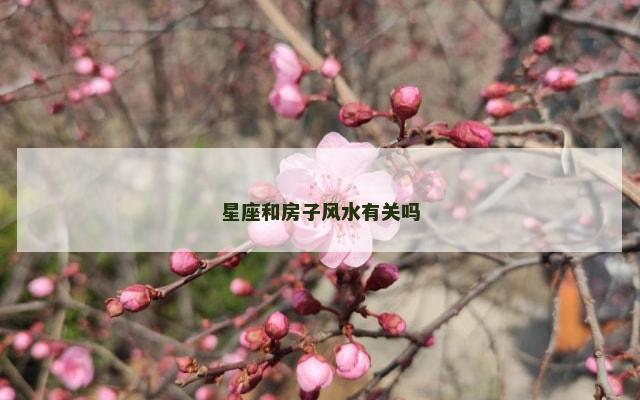 星座和房子风水有关吗
