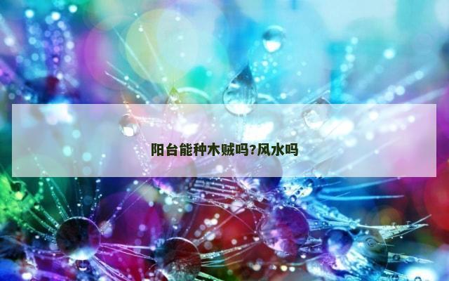 阳台能种木贼吗?风水吗