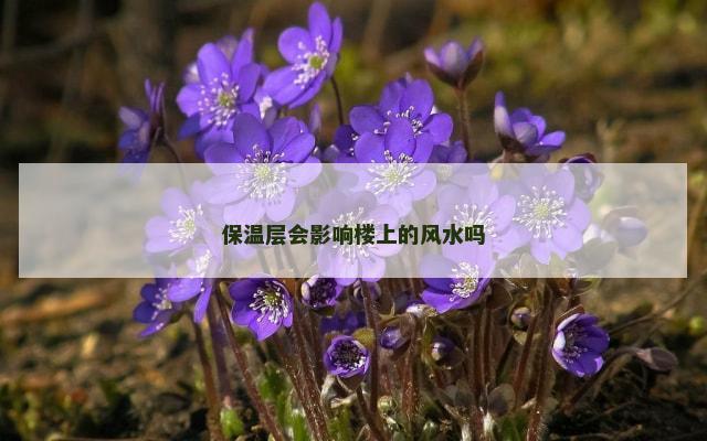 保温层会影响楼上的风水吗