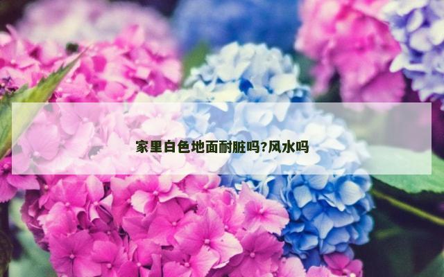 家里白色地面耐脏吗?风水吗