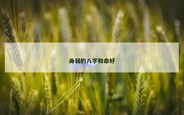 身弱的八字和命好