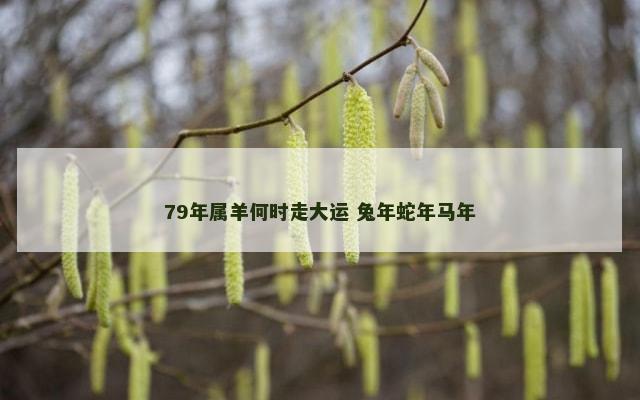 79年属羊何时走大运 兔年蛇年马年