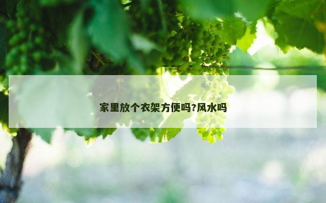 家里放个衣架方便吗?风水吗